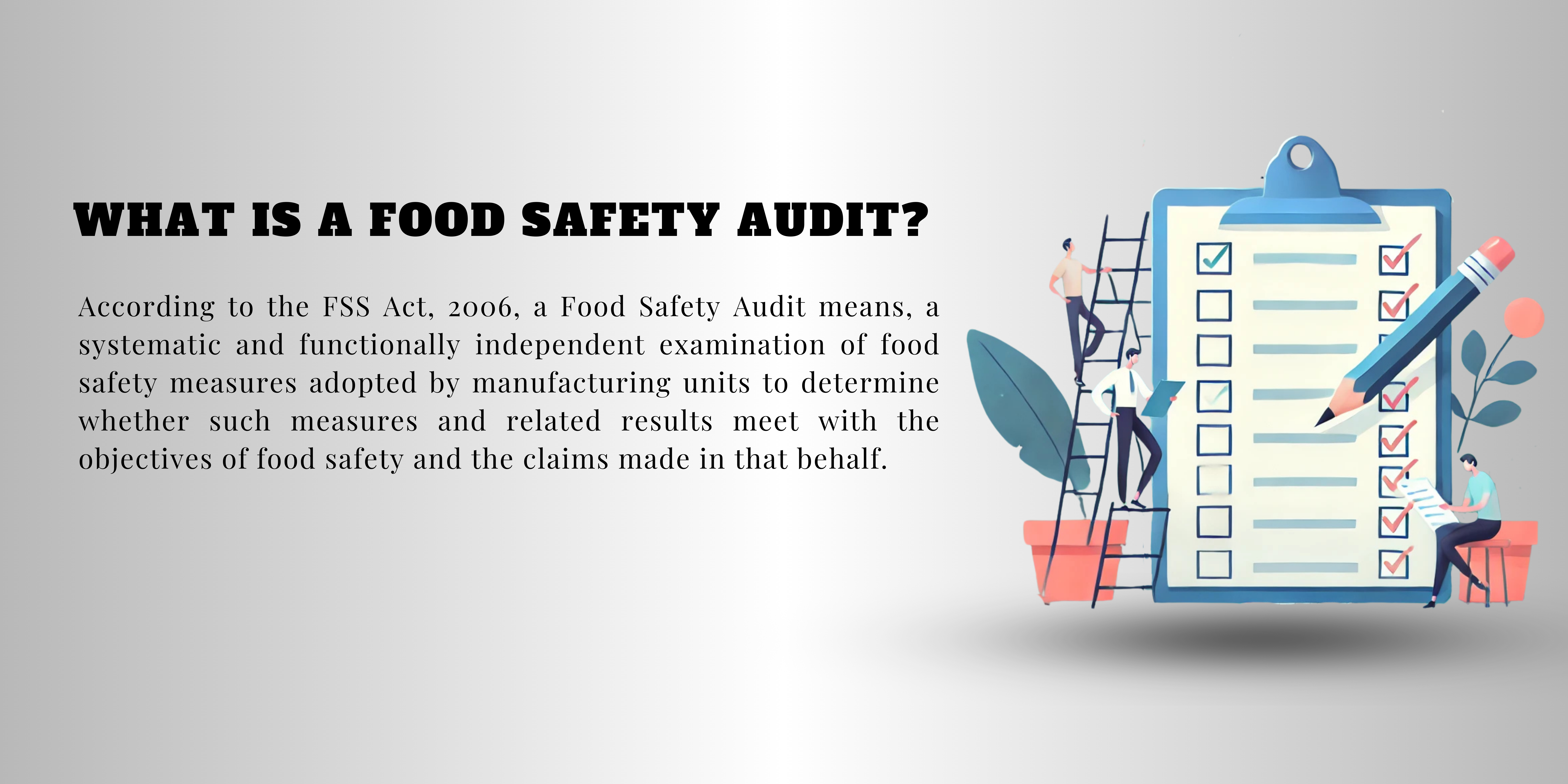audit info
